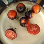 Blue Suede Shoes Tomato