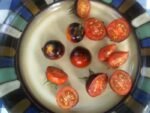 Blue Suede Shoes Tomato antho cherry