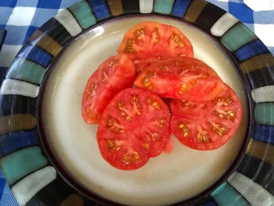 Croatia YMCA Jonah Tomato