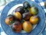 Gargamel Tomato Indeterminate Tomatoes