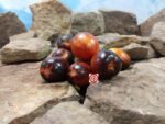 Gargamel Tomato Seeds
