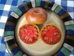 Indian Stripe Tomato