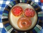 Indian Stripe Tomato - Image 2