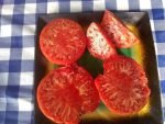 McKinley Tomato beefsteak heirloom