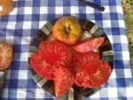 McKinley Tomato heirloom beefsteak