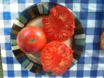 McKinley Tomato red sandwich