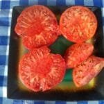 McKinley Tomato slicer heirloom