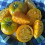 Indian Moon Tomato