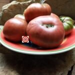 Not Purple Strawberry Tomatoes