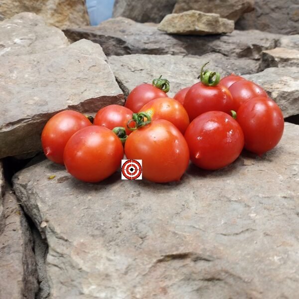 Orange Roussellini Tomato