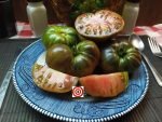 Tomato the Thong by Blane Horton
