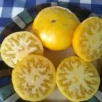 Saldwigs Yellow Tomato heirloom beefsteak
