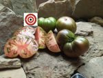 The Thong Tomato Dwarf By Blane Horton