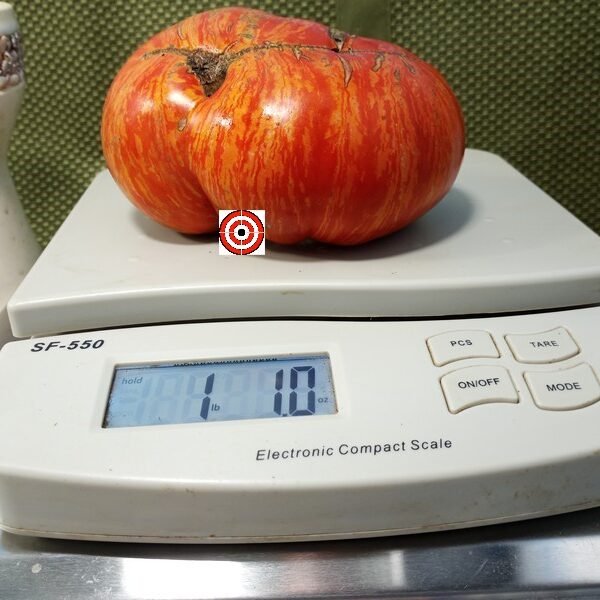 Tree Bottom Streak Tomato Giant Tomatoes