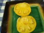 1884 Yellow Tomato