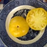 Yellow 1884 Tomato heirloom beefsteak