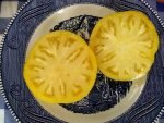 Yellow 1884 Tomato heirloom seeds