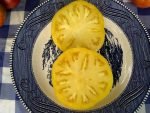 Yellow 1884 Tomato heirloom slicer