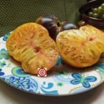 Afternoon Delight Tomato Seeds