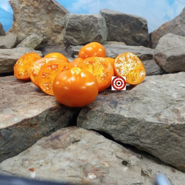 Aladdin's Lamp Tomato Heirloom Tomato Seeds
