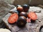 Bandol Blues Tomato