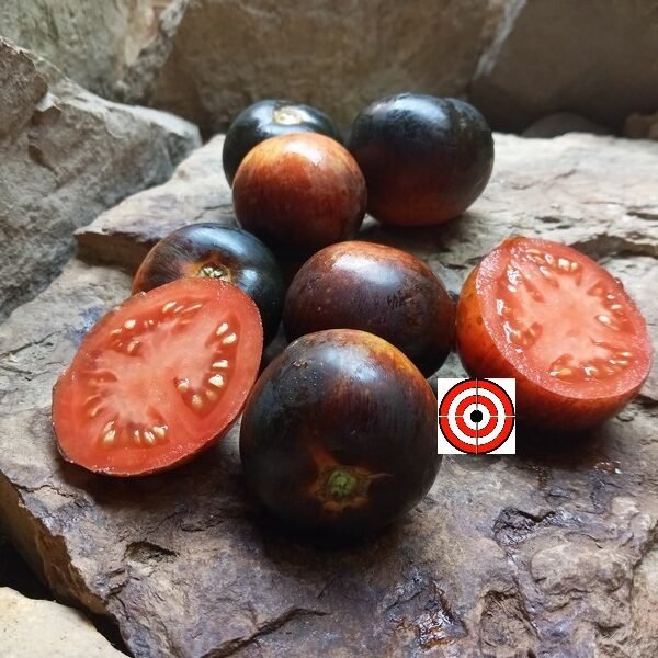 Bandol Blues Tomato