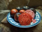 Bandol Blues Tomato by Bruno Fournier