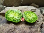 Berkeley Tie Dye Green Tomato