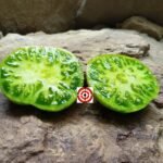 Berkeley Tie Dye Green Tomato