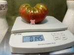 Berkeley Tie Dye Heart Tomato