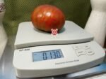 Berkeley Tie Dye Heart Tomato Seeds