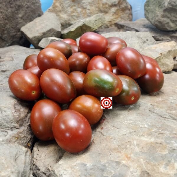 Black Miami Tomato