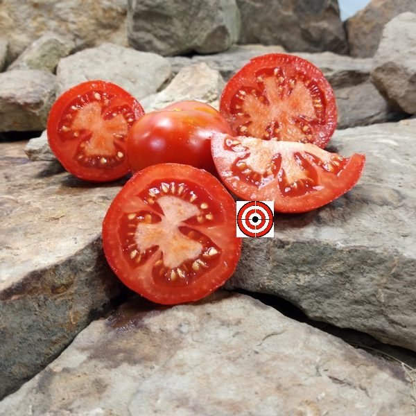 Bloody Butcher Tomato Early Season Tomato