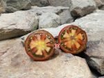 Carmone Tomato Seeds