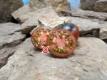 Chestnut Chocolate Tomato Antho Tomato