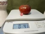 Chestnut Chocolate Tomato from Wild Boar Farms