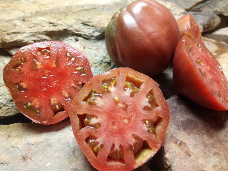 DWARF PURPLE HEART BICOLORED TOMATO