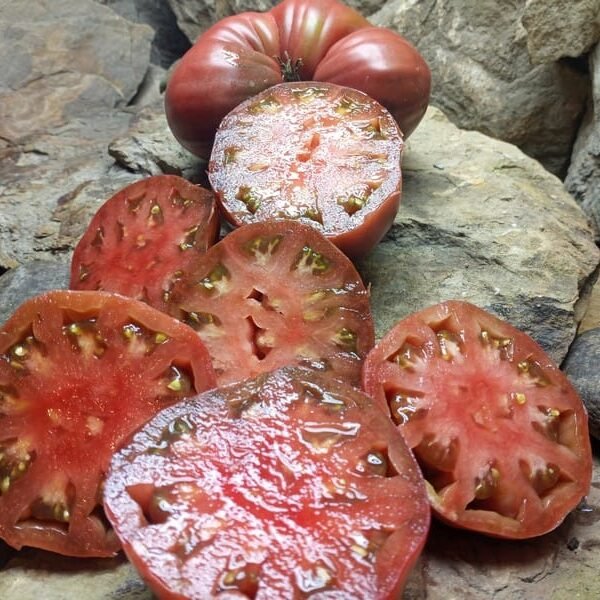 DWARF PURPLE HEART BLACK TOMATOES