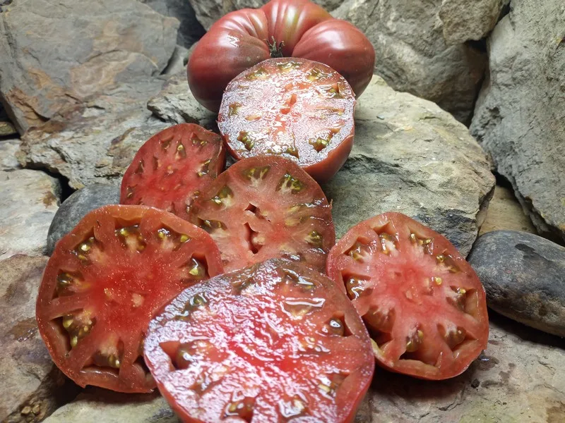 DWARF PURPLE HEART BLACK TOMATOES