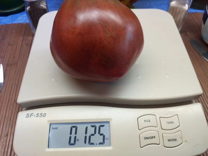 DWARF PURPLE HEART SLICING TOMATO