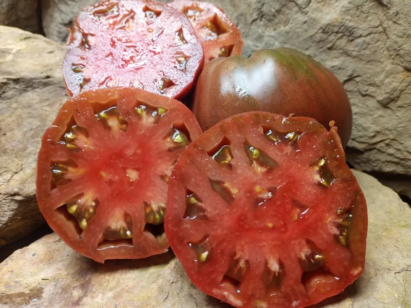 Dwarf Purple Heart Tomato