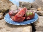Dwarf Purple Reign Tomato Seeds.