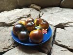 Elma Blue Tomato Blue Tomatoes