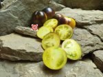 Elma Blue Tomato Salad Tomatoes