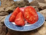 Grandma Baker's Tomato Seeds.