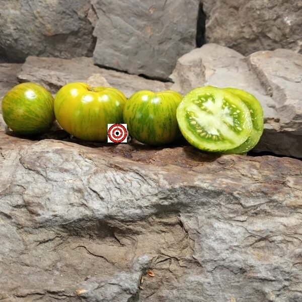 Green Zebra Tomato.