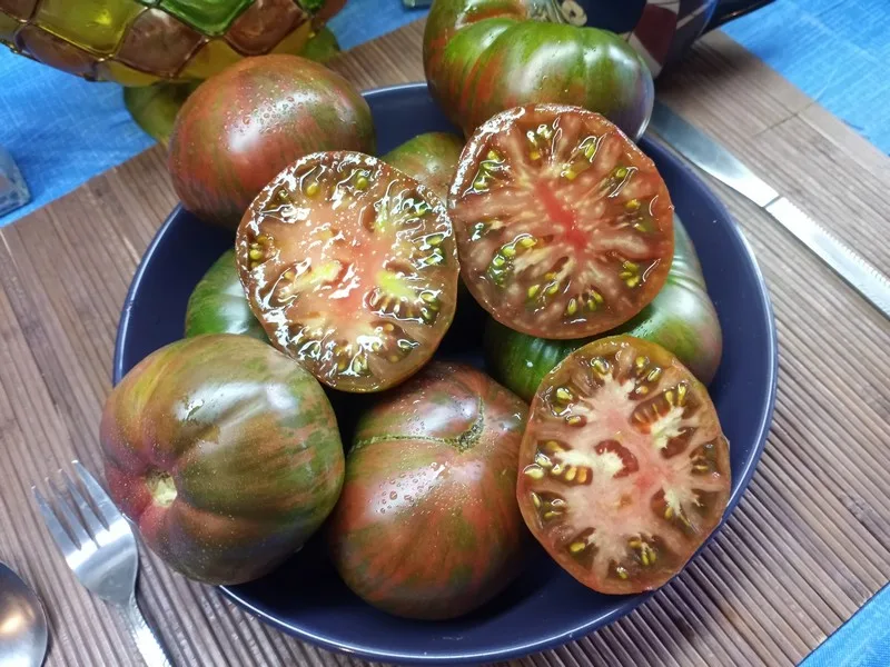 HERSHEY BOAR SLICING TOMATOES