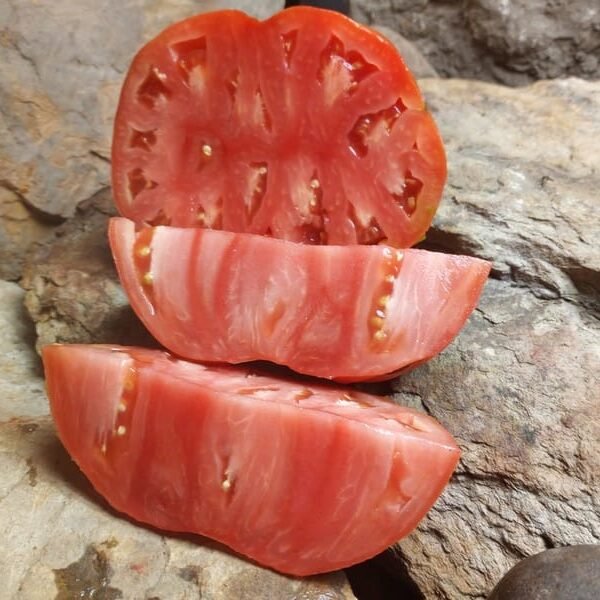 HOMERS GERMAN OXHEART PASTE TOMATO