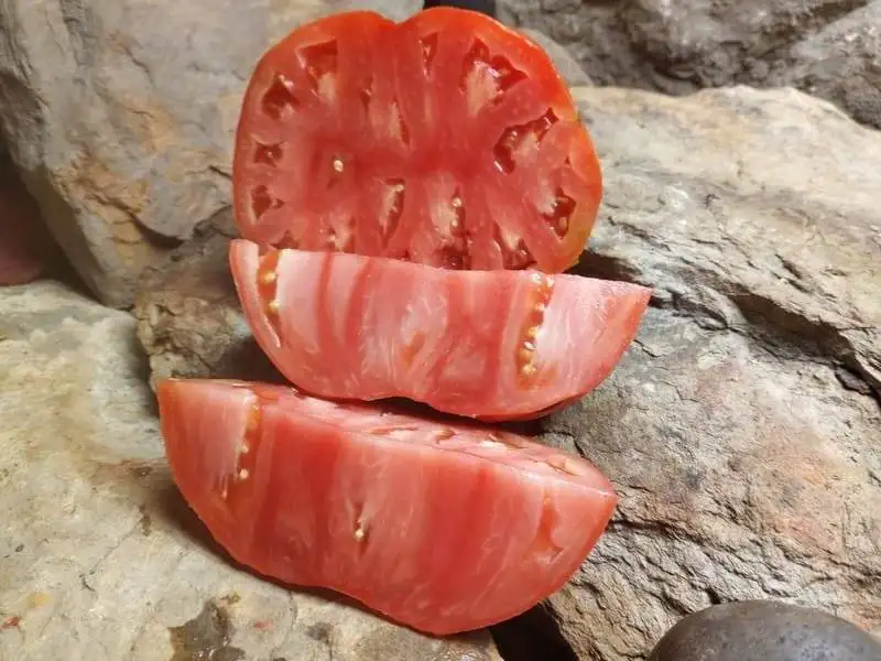 HOMERS GERMAN OXHEART PASTE TOMATO