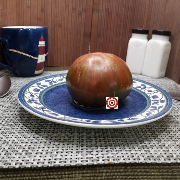 Hershey Boar Tomato